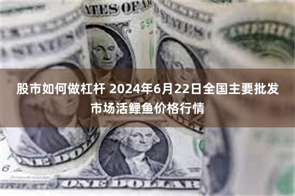 股市如何做杠杆 2024年6月22日全国主要批发市场活鲤鱼价格行情