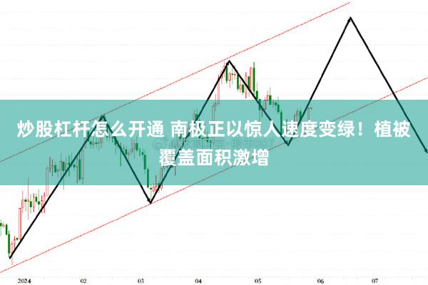 炒股杠杆怎么开通 南极正以惊人速度变绿！植被覆盖面积激增