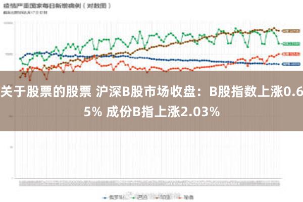 关于股票的股票 沪深B股市场收盘：B股指数上涨0.65% 成份B指上涨2.03%