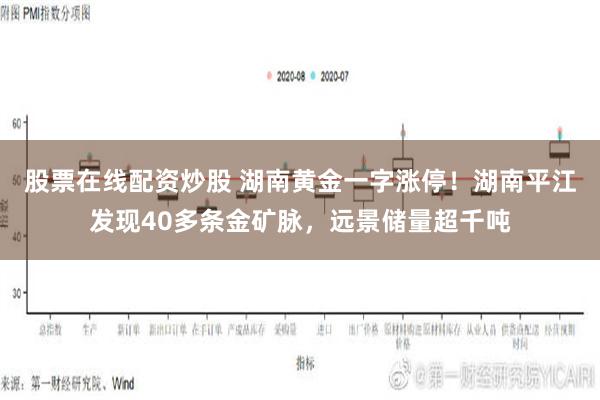 股票在线配资炒股 湖南黄金一字涨停！湖南平江发现40多条金矿脉，远景储量超千吨