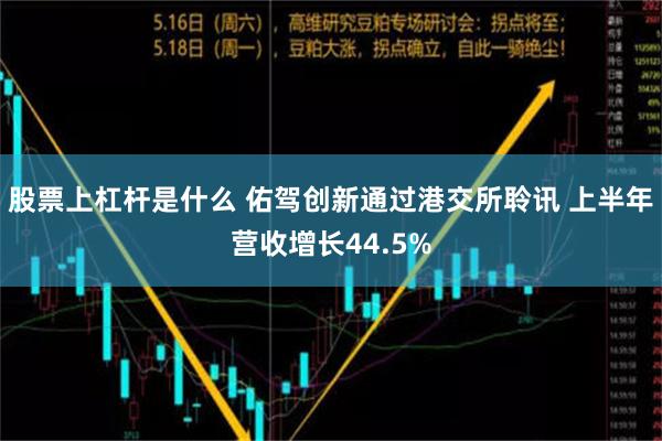 股票上杠杆是什么 佑驾创新通过港交所聆讯 上半年营收增长44.5%