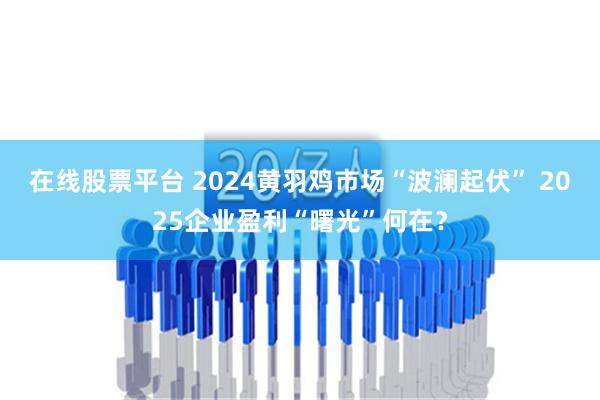 在线股票平台 2024黄羽鸡市场“波澜起伏” 2025企业盈利“曙光”何在？